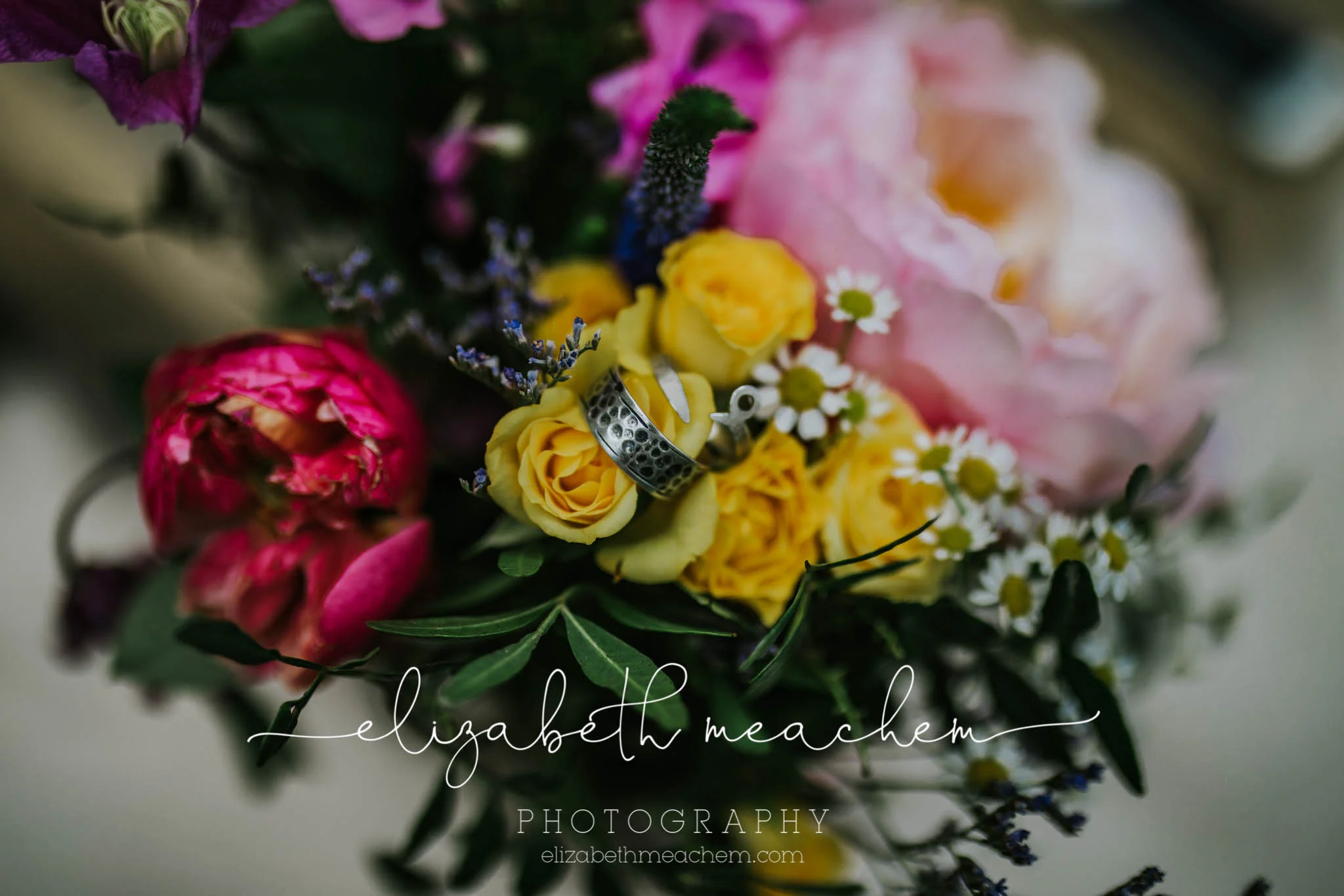 elizabethmeachemcopyright-30.jpg