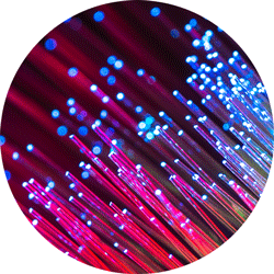 IP & Technology