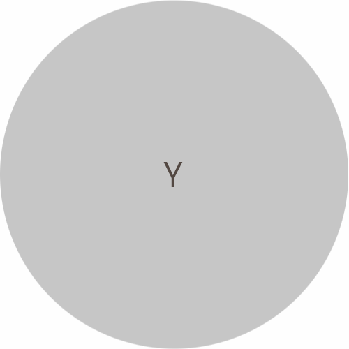 Y