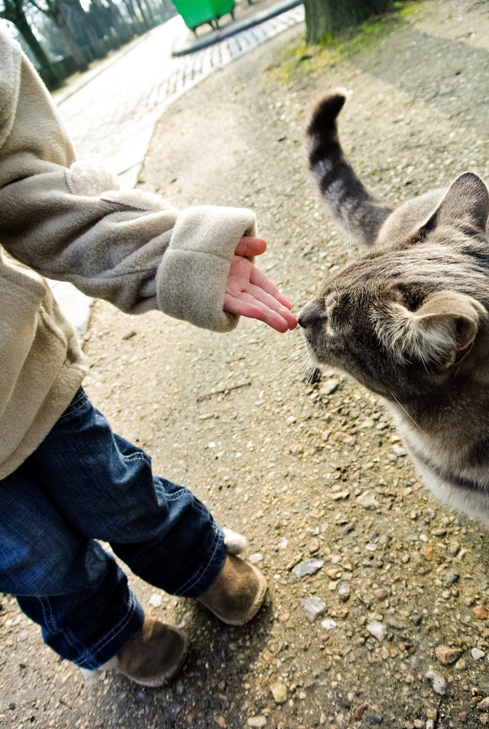 Rencontre au Père Lachaise