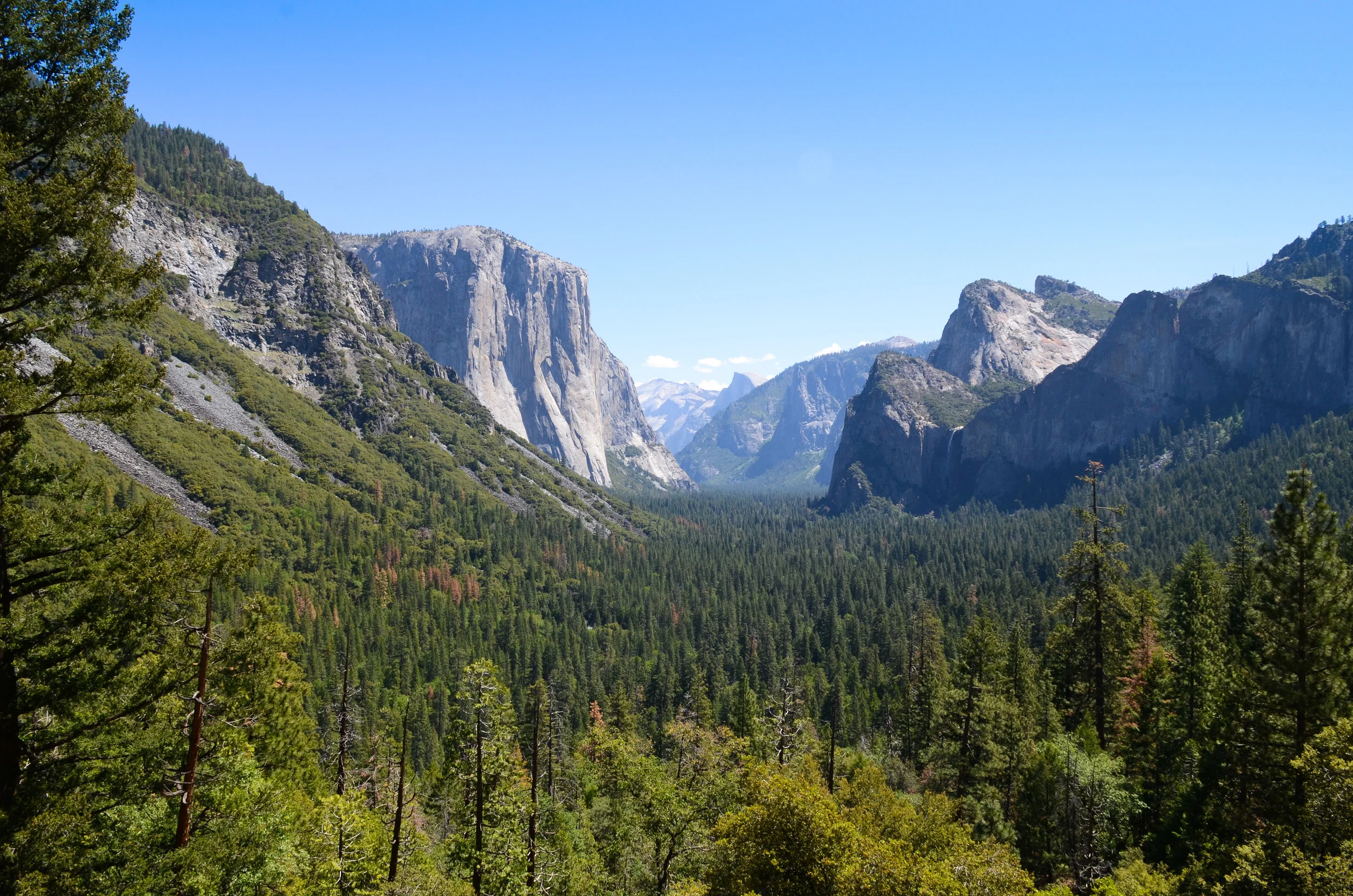 DSC_5864.jpg