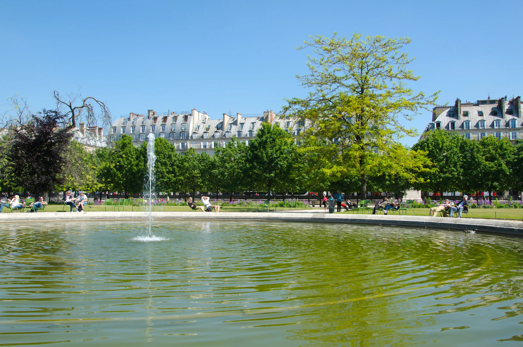 DSC_3102.jpg