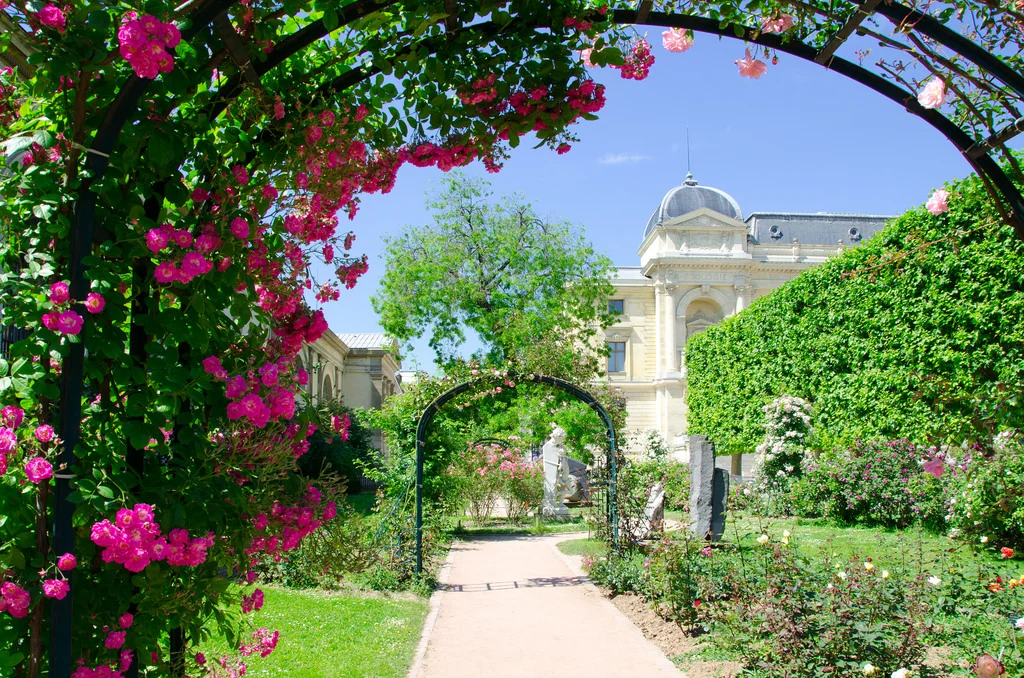 Se balader dans les allées du Jardin des Plantes