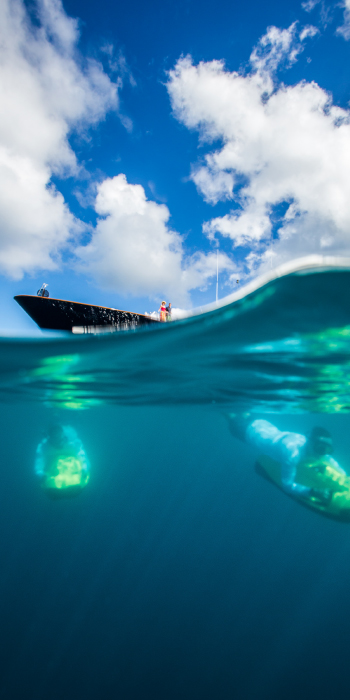 Bacchus-Charter-Vacations-Blog-Underwater.jpg