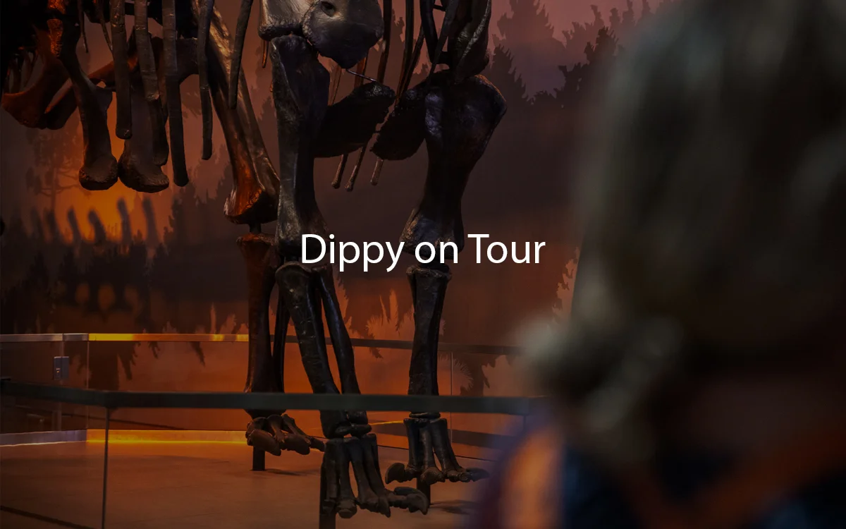 Dippy on Tour.jpg