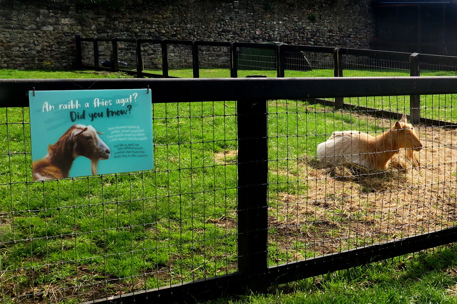 Newbridge Farm — Tandem Design