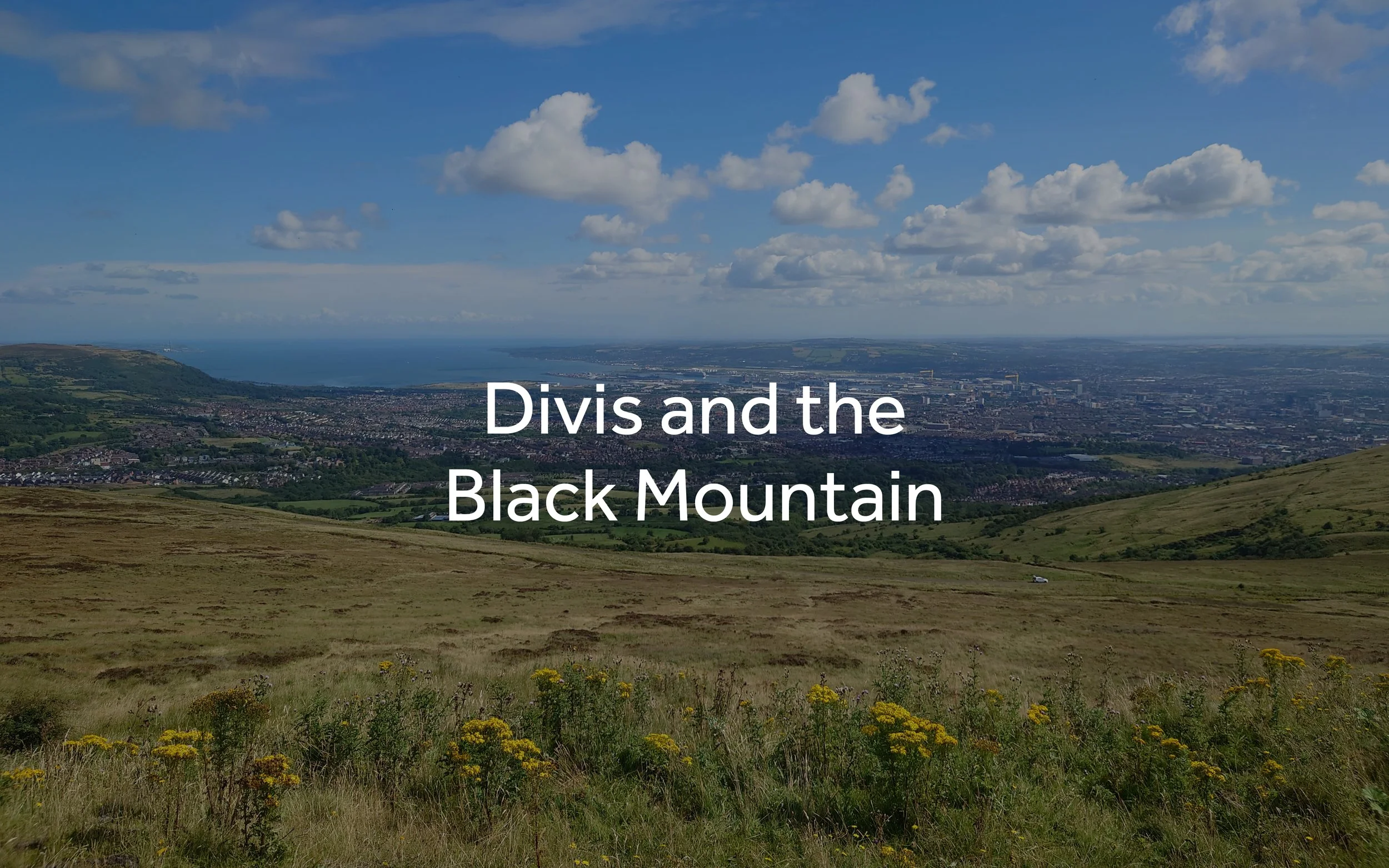 Divis Title.jpg