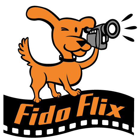 Fido Flix Brand Identity