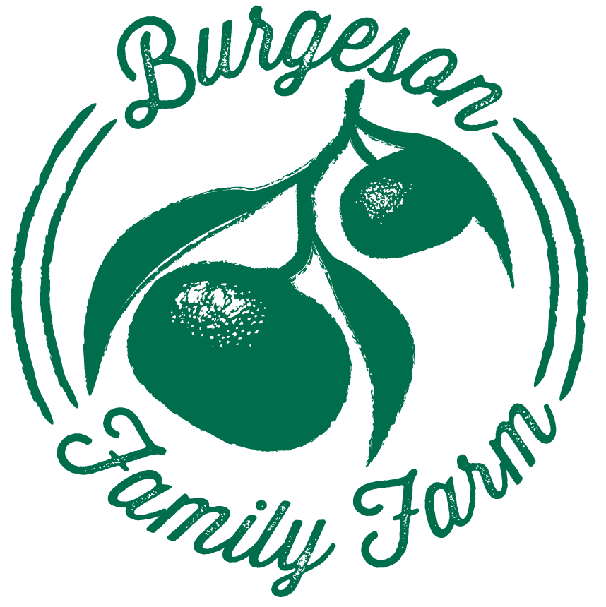 Burgeson Family Farm logo