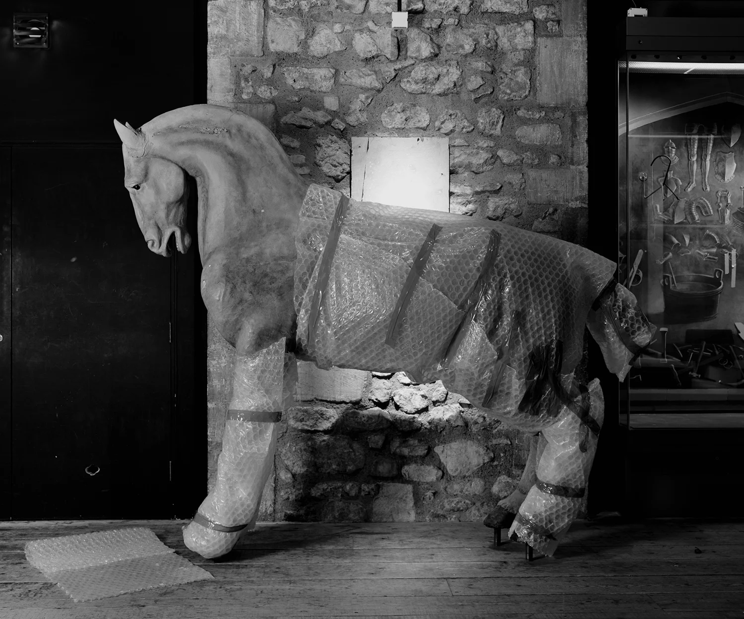 joubert's horse CKing small.jpg