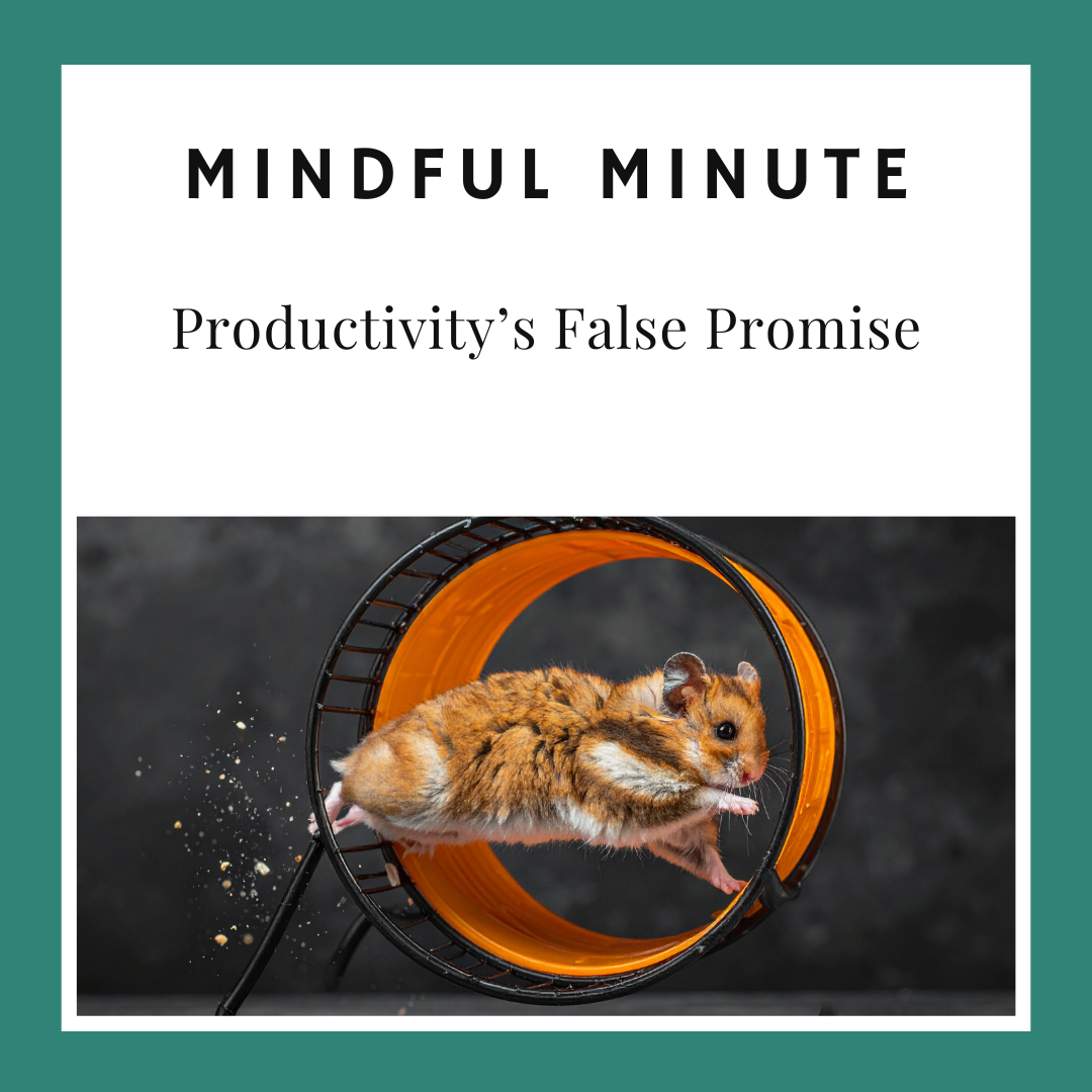 Productivity's False Promise