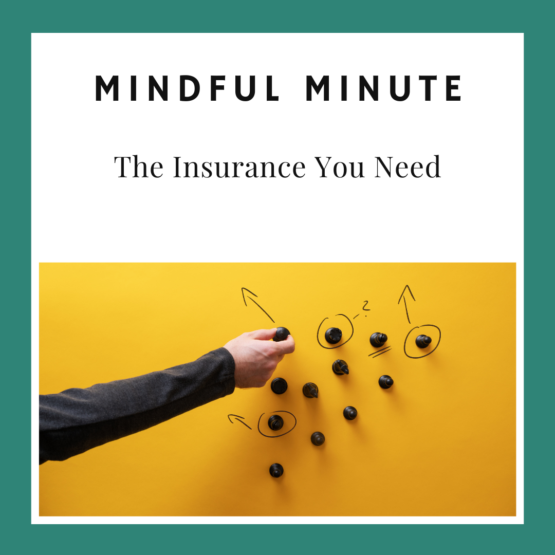 The Insurance You Need