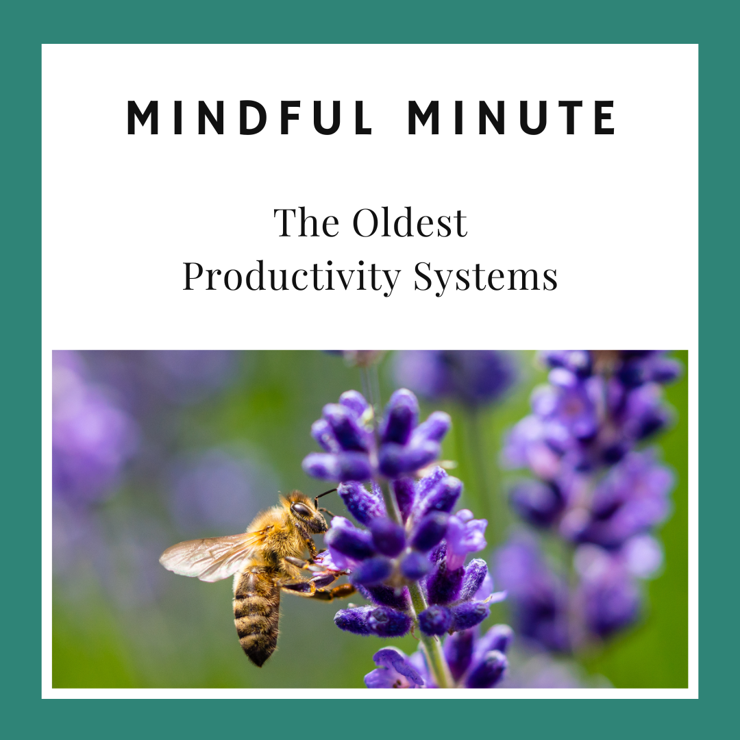 The Oldest Productivity Systems