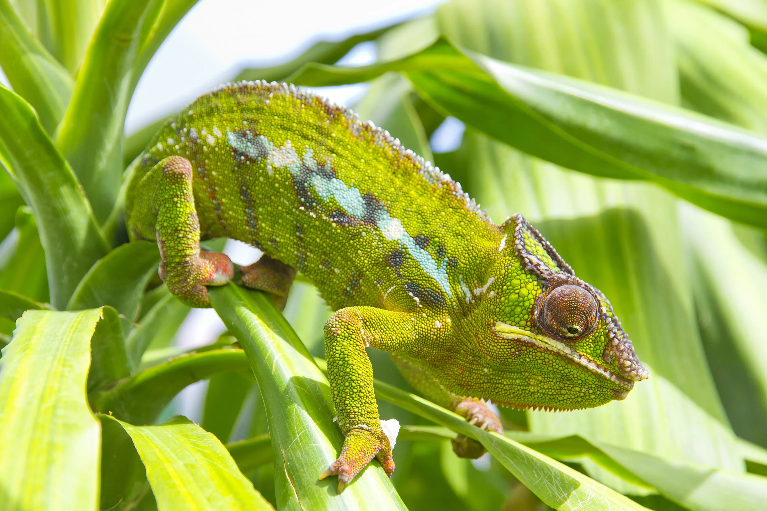 AdobeStock_77370457.jpeg