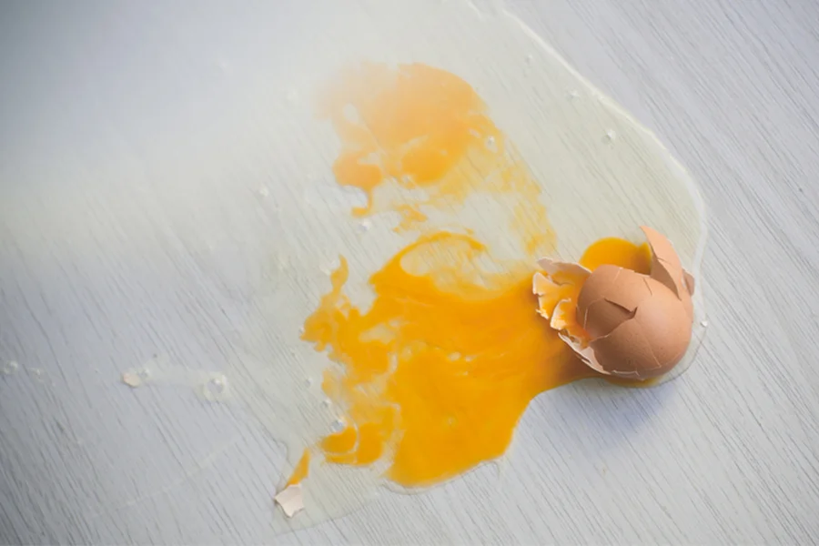 A Setback Broken Egg_Maiko Sakai.jpg