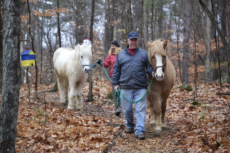 A fun and informative visit for your group or family. Meet, the herd, learn about the Icelandic Horse, groom, photograph, feed carrots and take a pony ride! Fee: 60 - 75 minute session, $60.00