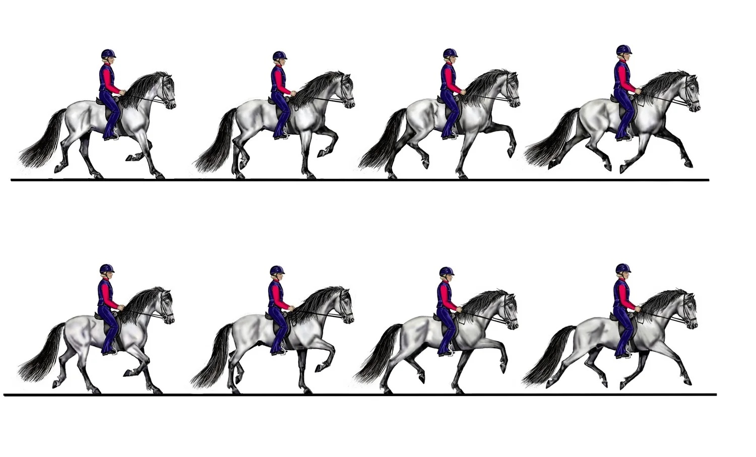 The gait sequence in trot - drawing by Susan Harris