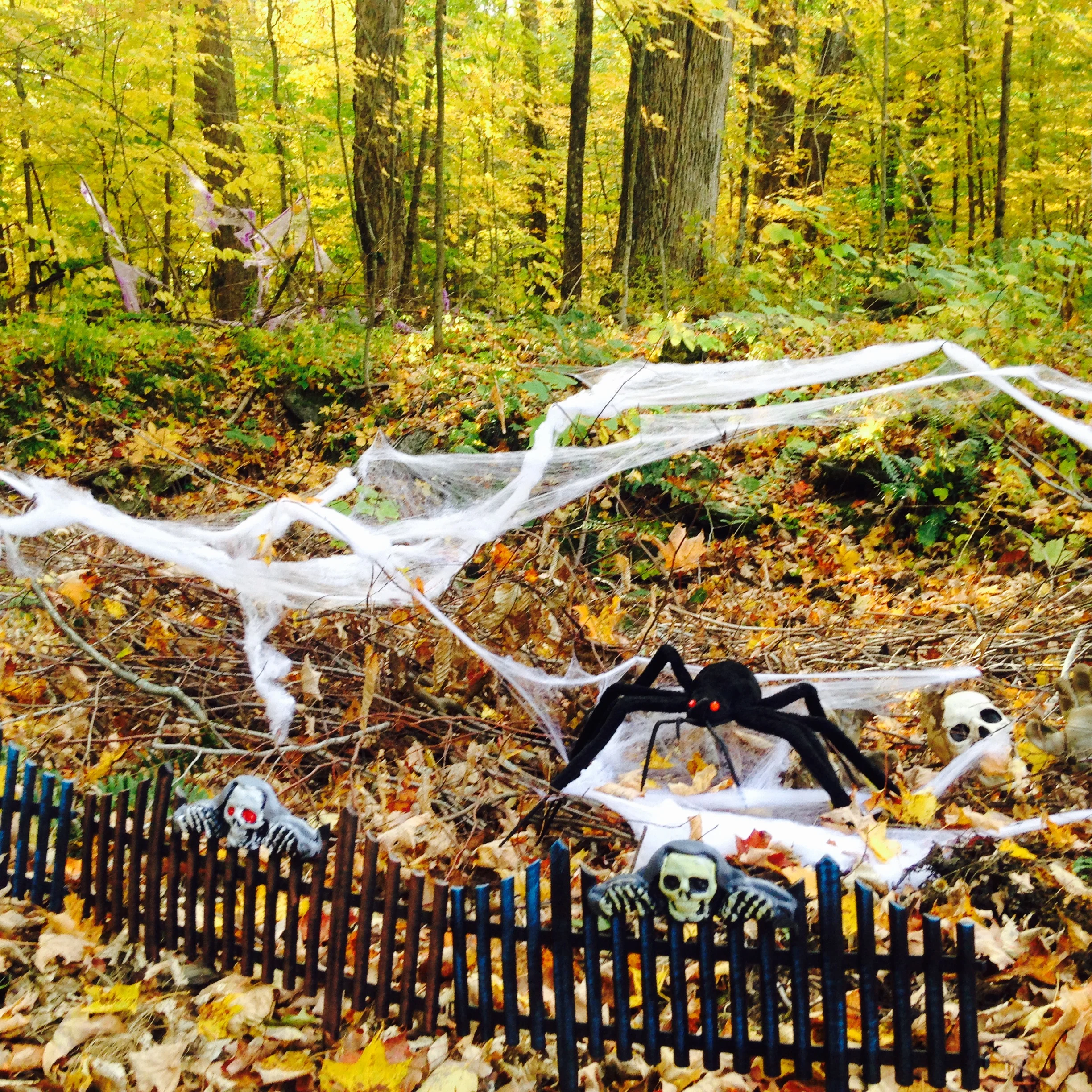 Happy Halloween!