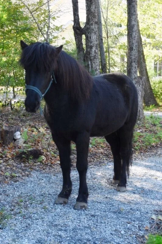 Koli oct2018.jpg