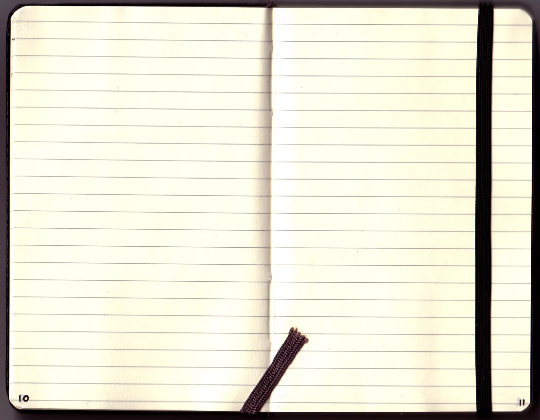 writernotebook2brownmoleskin.jpg