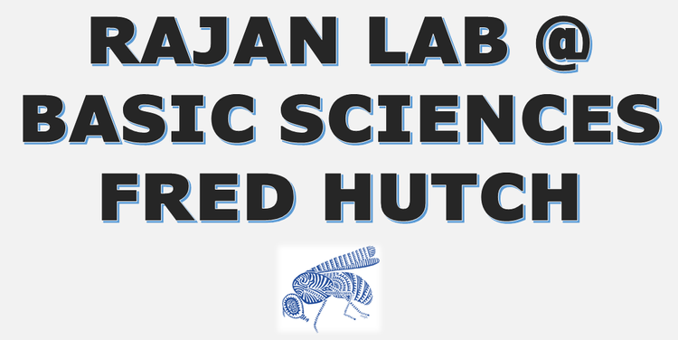 Rajan Lab @ Hutch Basic Sciences