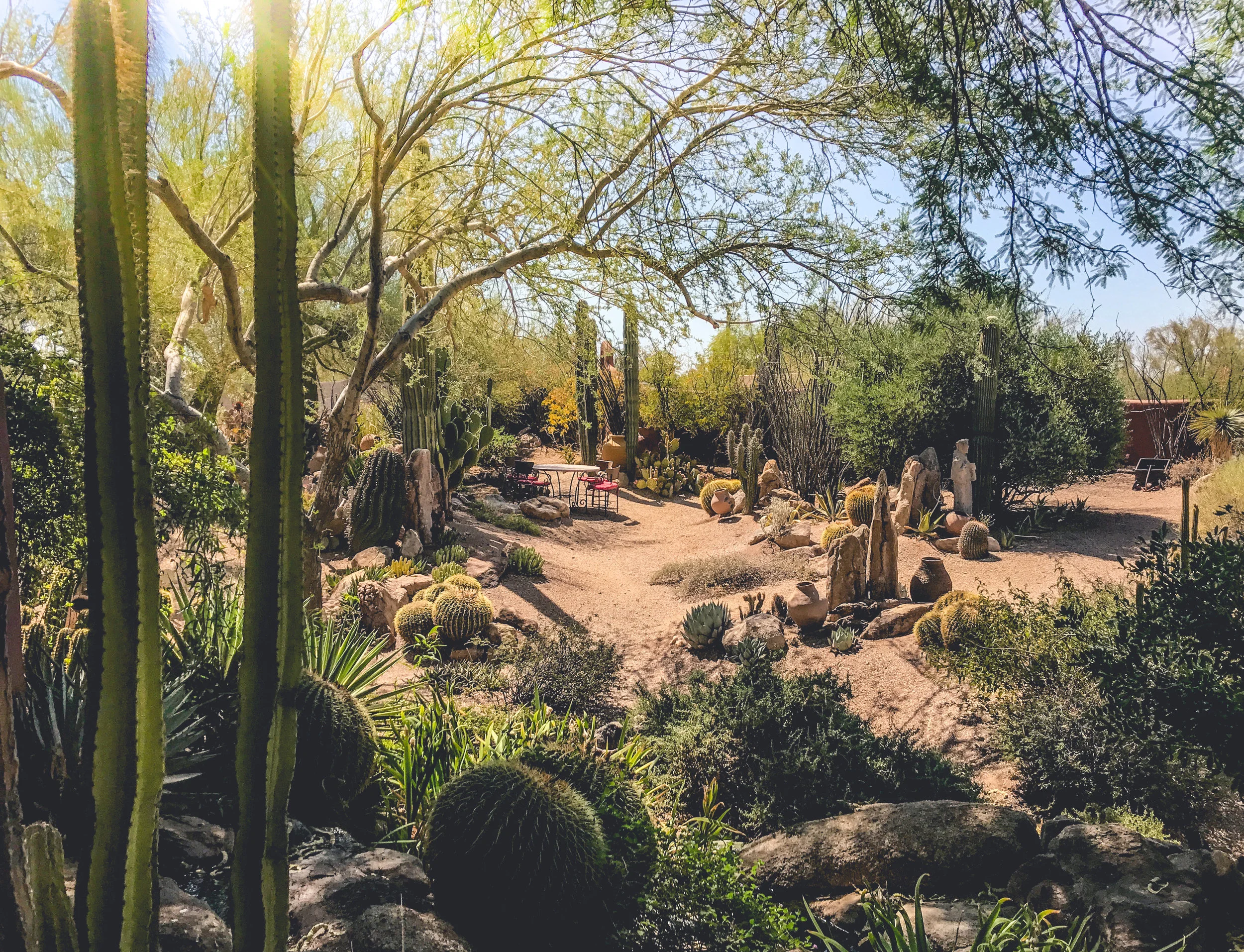 Back Backyard.jpg