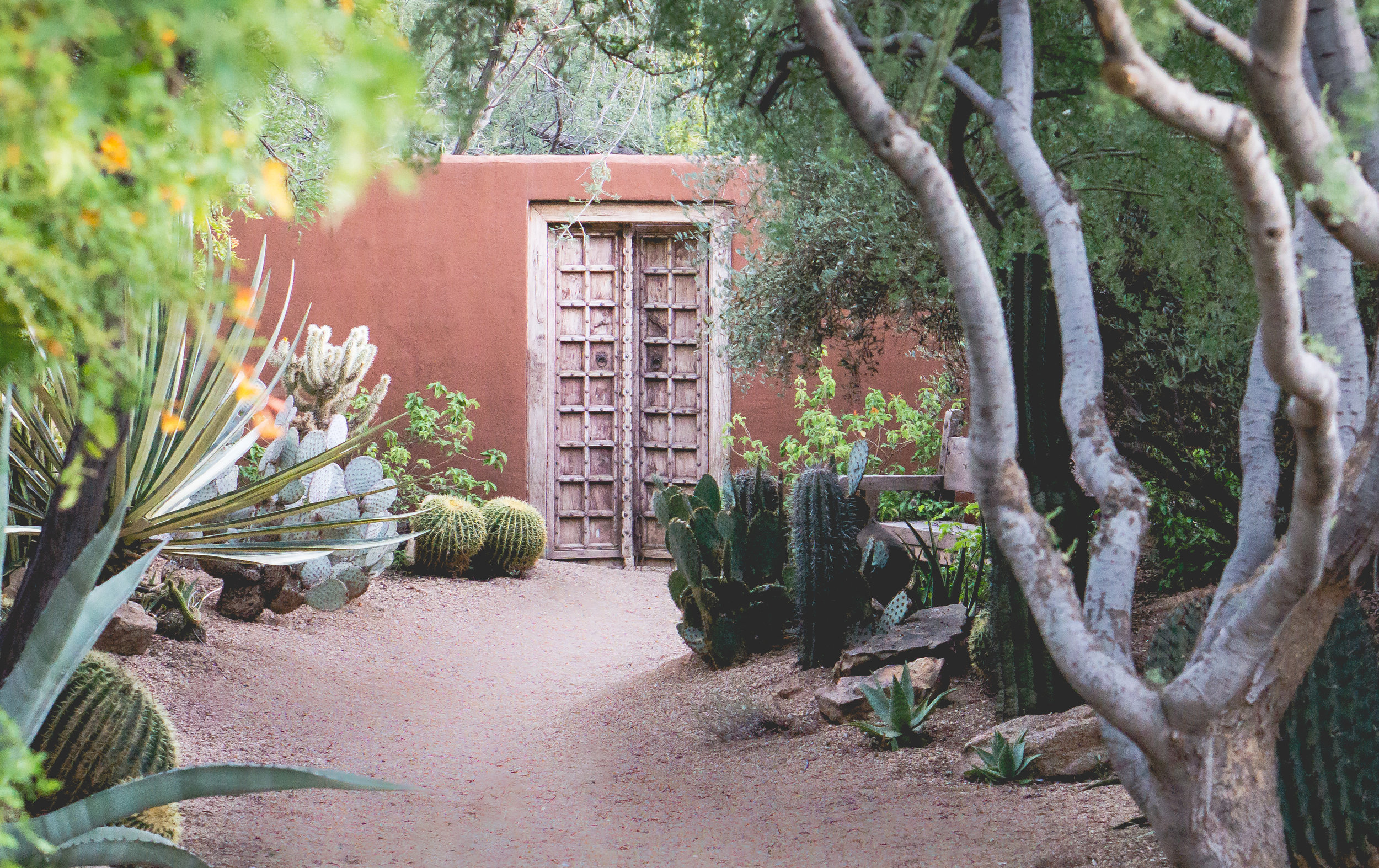 Behold A Wonderland Unique to Arizona