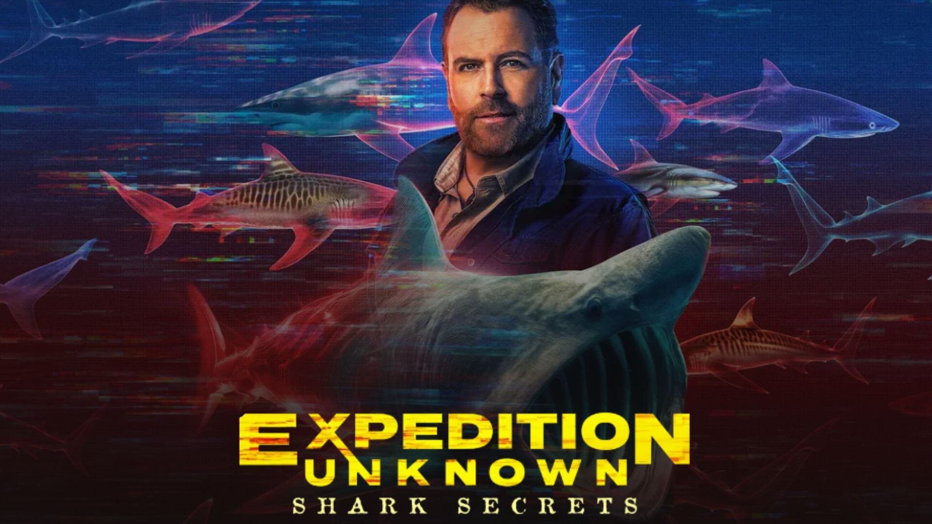 Expedition Unknown: Shark Secrets - Archival Producer
