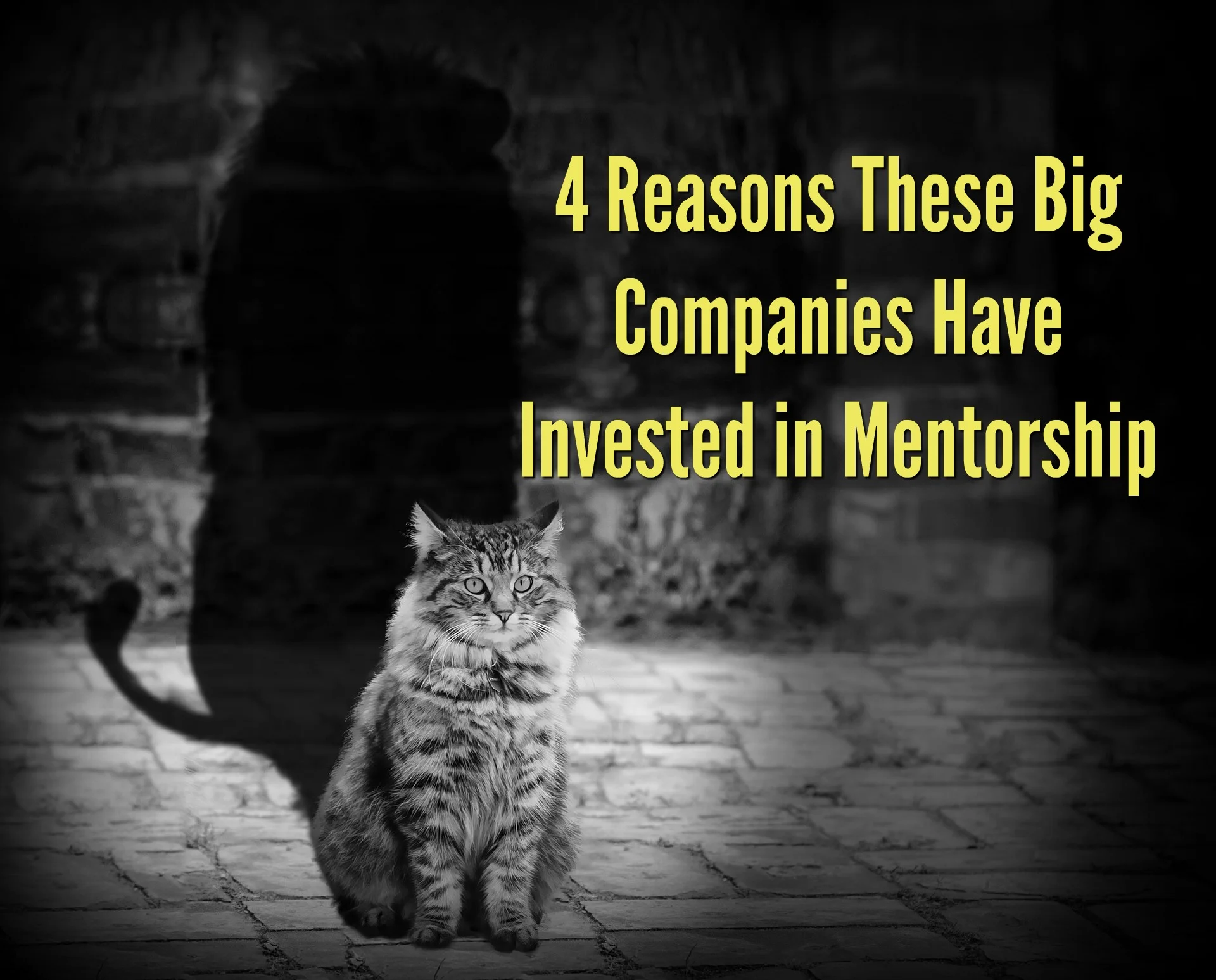 4 Reasons These Big Companies Have Invested in Mentorship.jpg