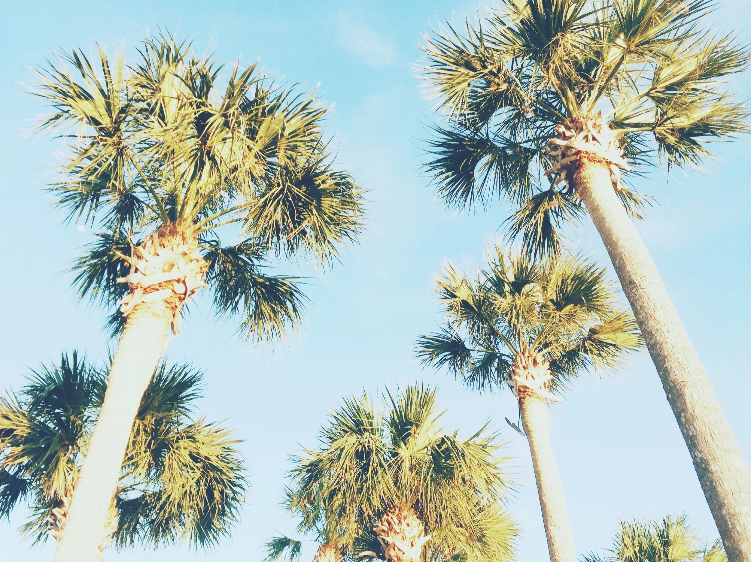 1E1409D5-6DD2-4307-B975-17CBB27697D9