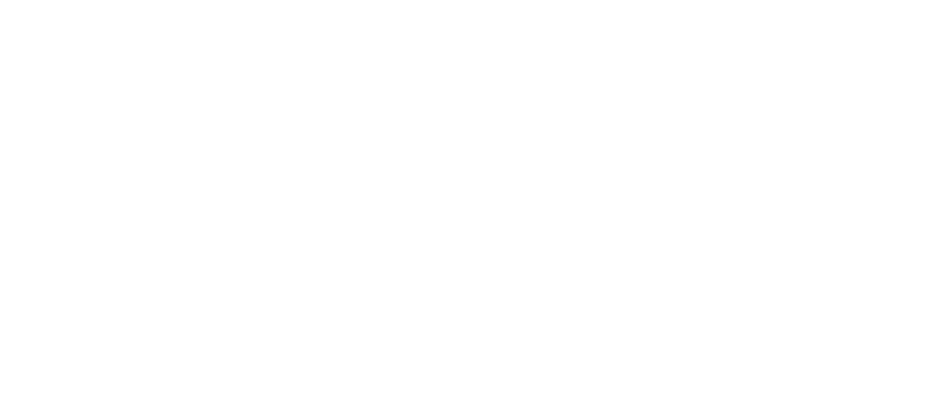 Ashley Castle Nutrition