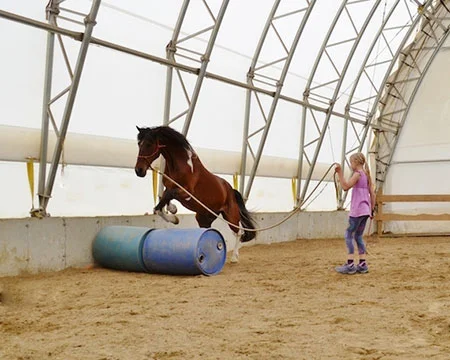 The Center For America’s First Horse ~ Photo courtesy of Cher Feitelberg