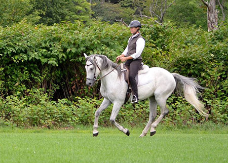 A solid foundation is mental, emotional and physical collection. Stephanie Lockhart & Morado. Photo by Cher Feitelberg.