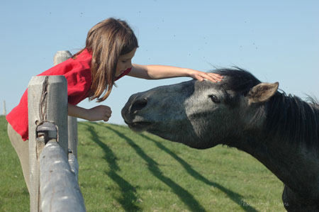 “The Power of Horses to Heal” ~ Photo courtesy of Orah Moore
