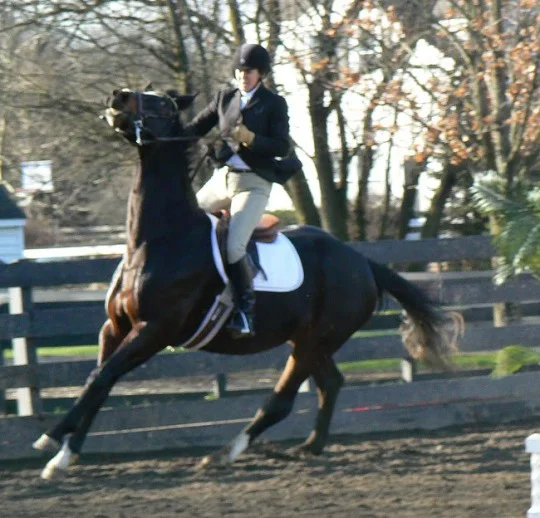 Human fear increases horse fear.