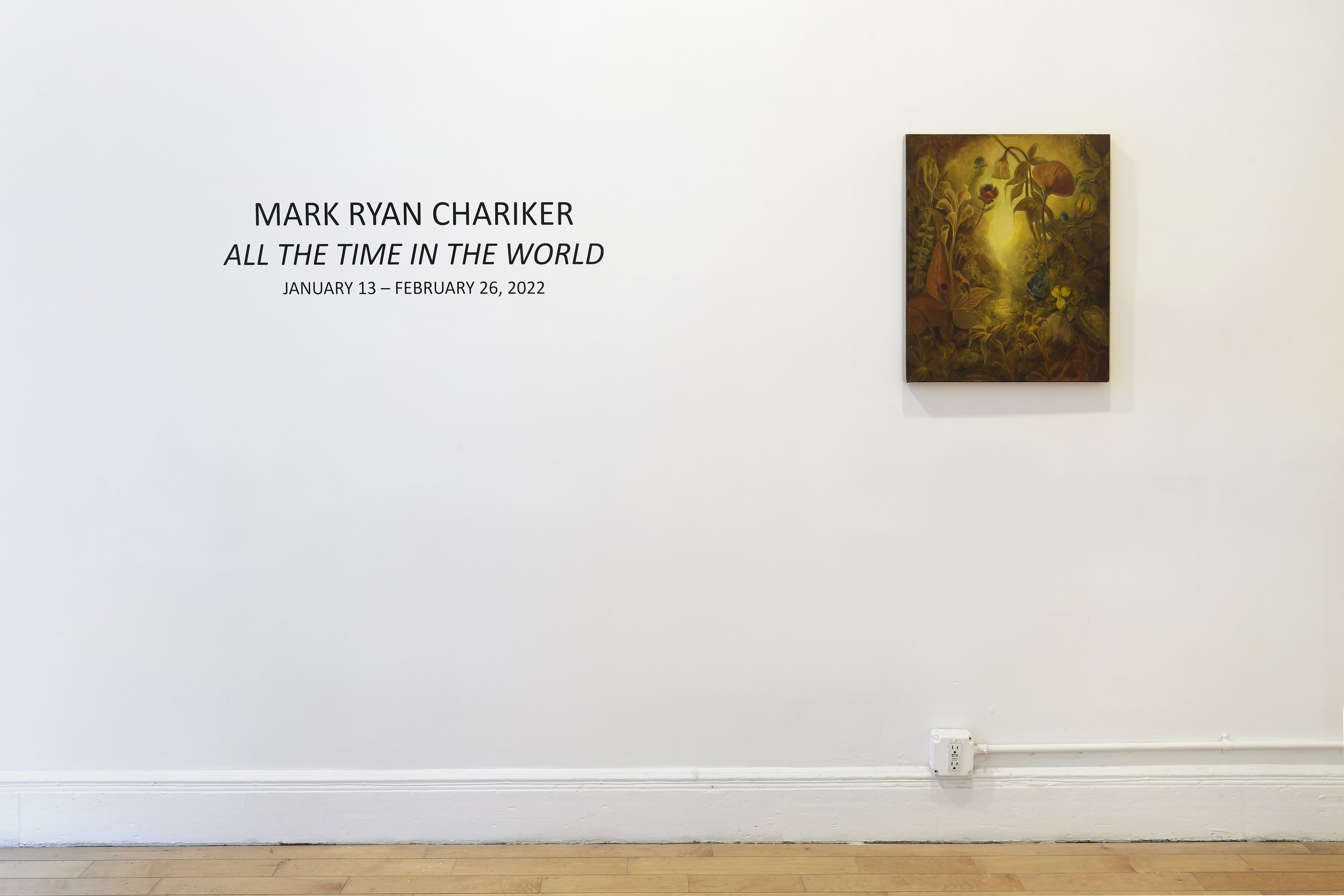 Mark Ryan Chariker, All the Time in the World, Install 9, 1969gallery.jpg