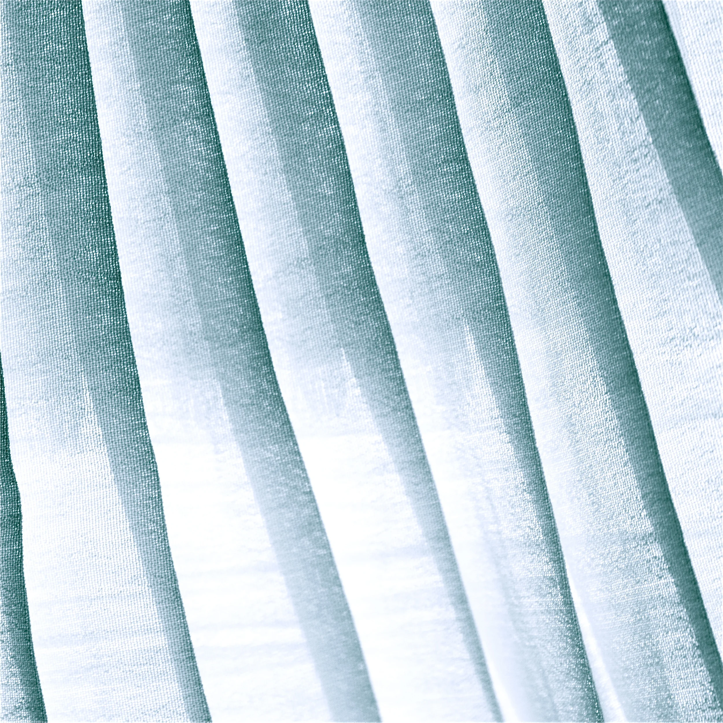 To the Poet Who Disappeared