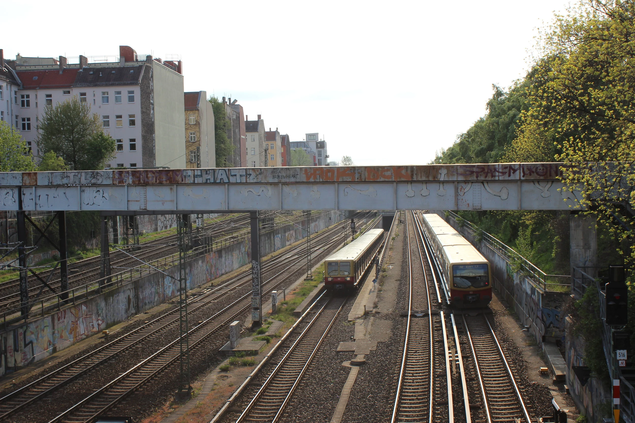 Images provided by the author.