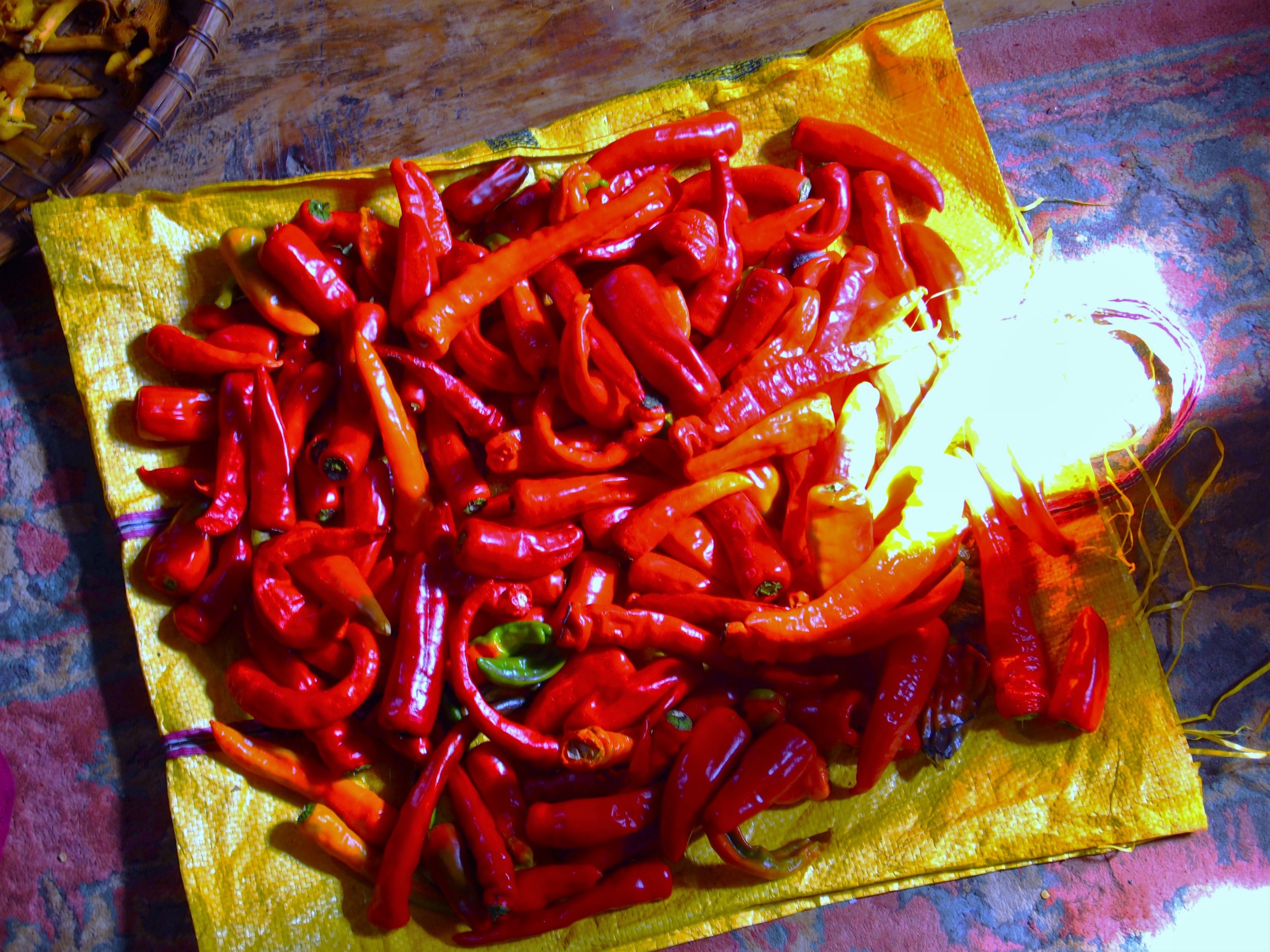 Chilies, or ema , in Bhutanese, drying in sunlight.