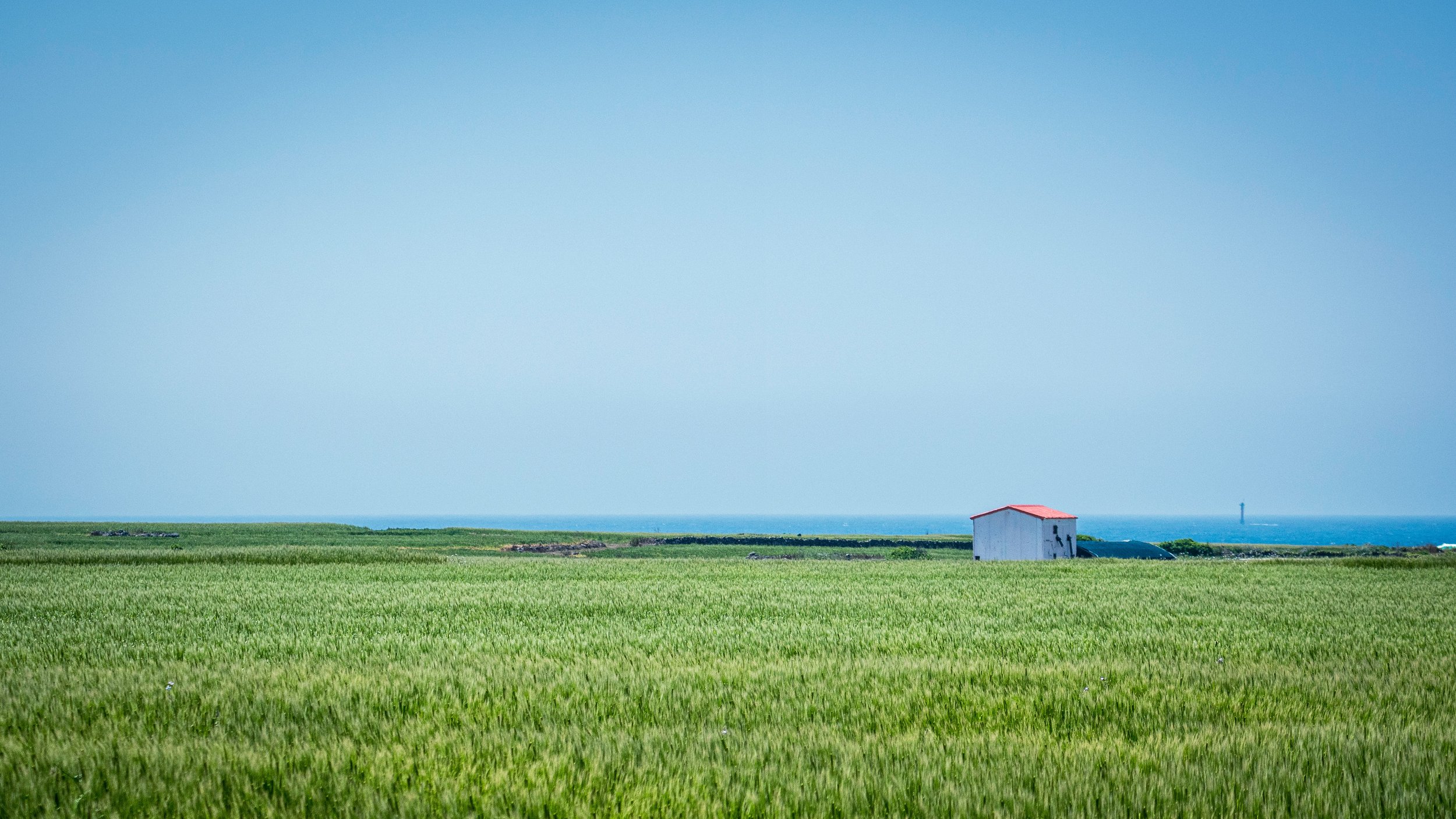 The Art of Delusion: Reading Don Quixote on Jeju Island