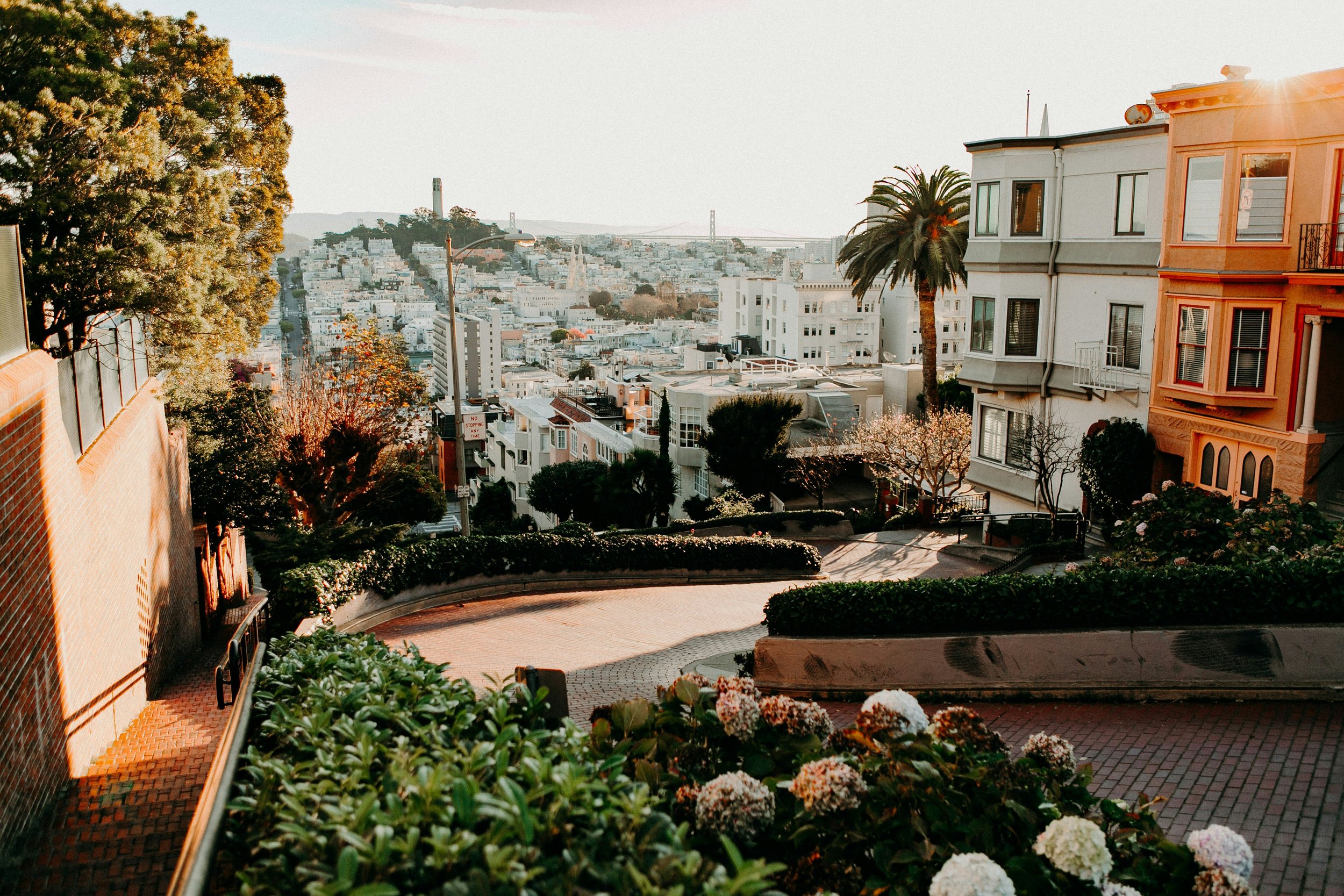 Goodbye to San Francisco, the City that Can't Be Left
