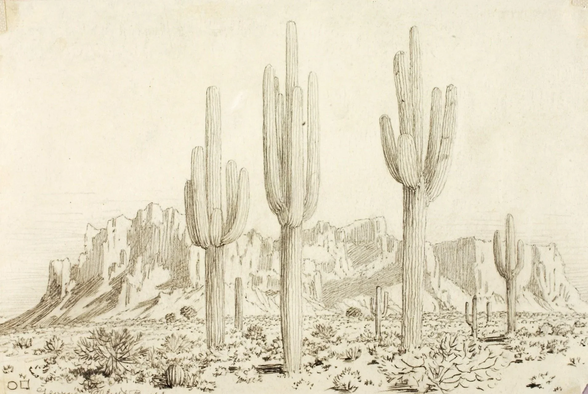 What Do You Have to Lose: Reading Edward Abbey in Arizona