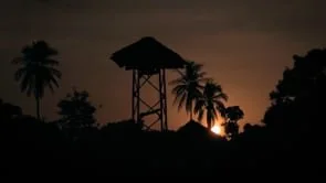 Caminhos da Vacina (Original)