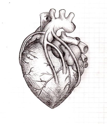 Heart Pencil Sketch