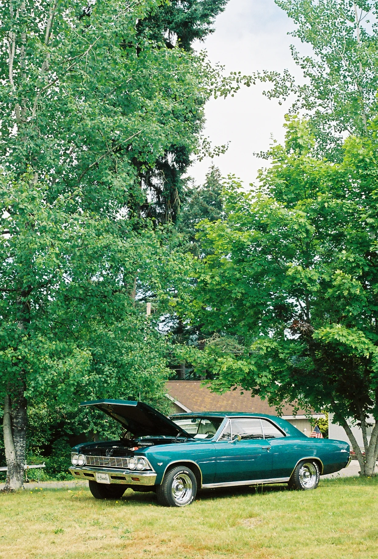 0cruz00_0cruz00-R5-024-10A.jpg