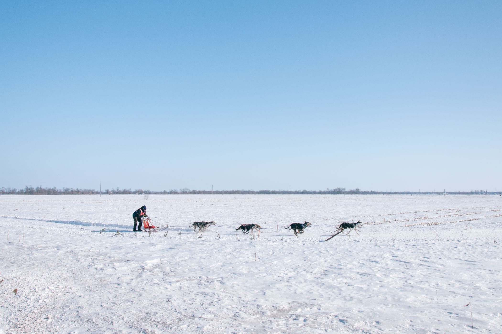 Lapland Husy Experience Guided Tours 4