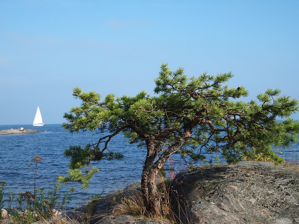 Stockholm Archipelago Kayaking 1 day 3