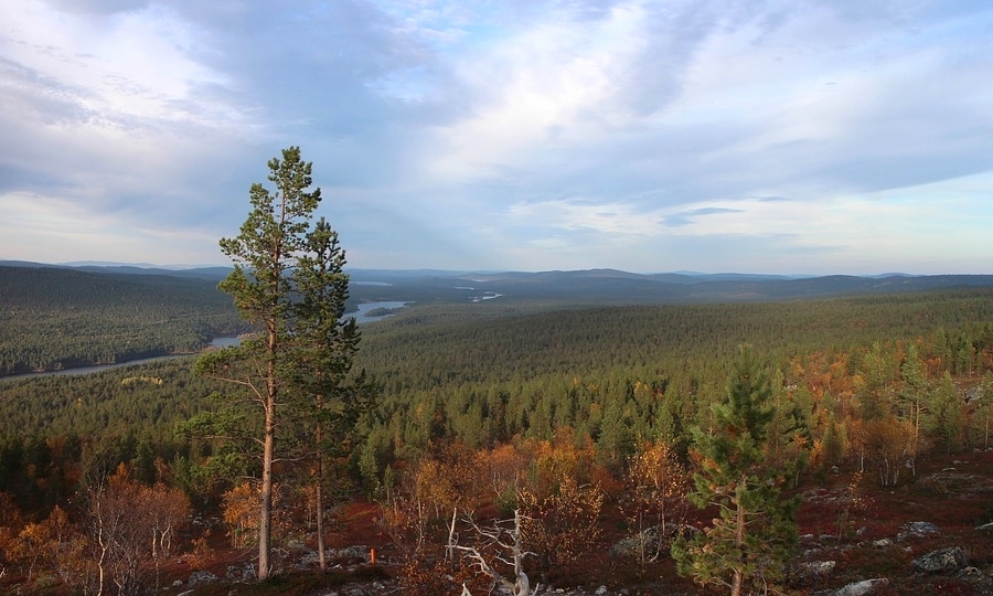 Sarek and Padjelanta National Park Guided Tours 5