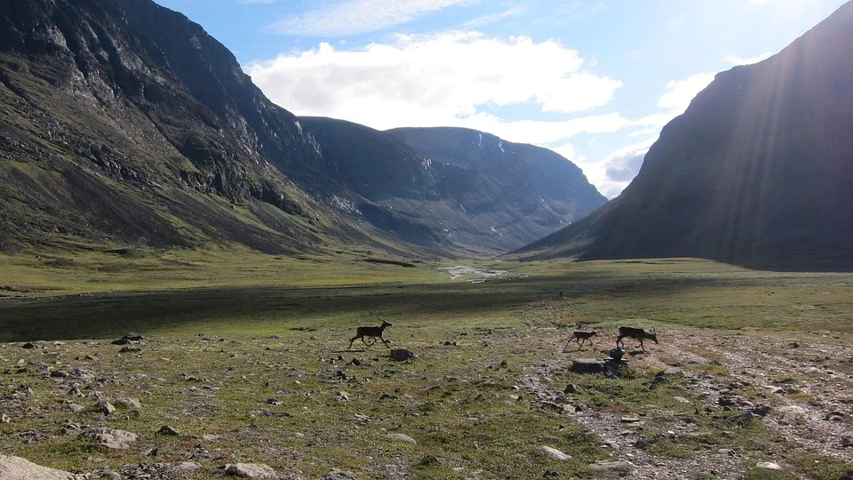 mountains-961903_960_720.jpg