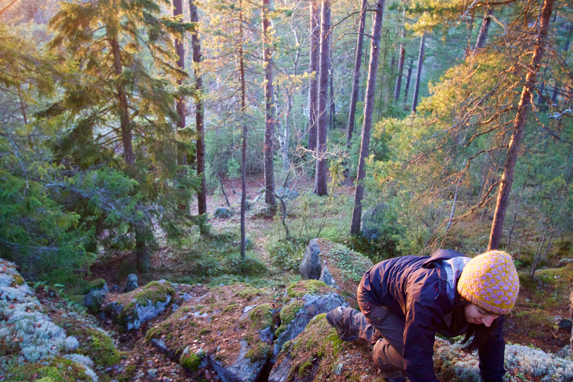 Stockholm Guided Tour Hikes - Stockholm Tourists Attractions 4